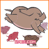 sԈDӱc鿴DƬչʾ