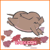 sԈDӱc(din)鿴DƬչʾ